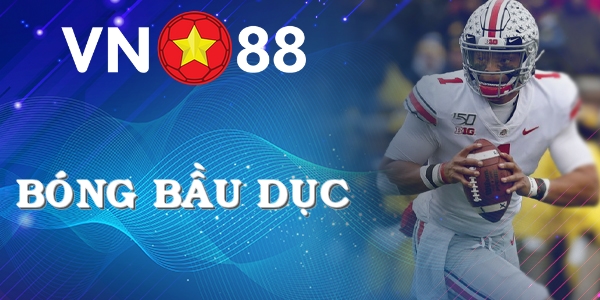 dat-cuoc-bong-bau-duc